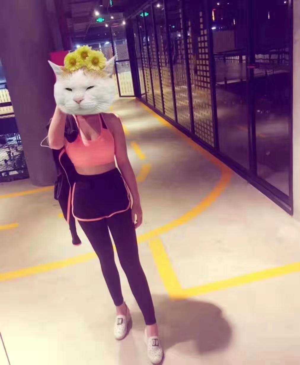 姿势配合的健身小女人