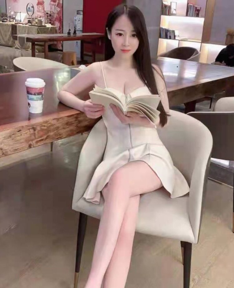 服务很好很温柔的小野猫