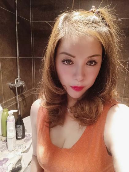 南开区郁金香