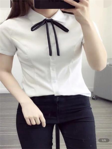河东津滨大道叶子
