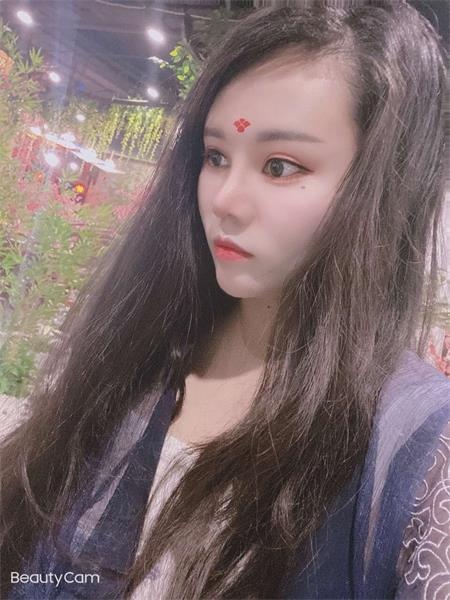 竹山路小仙女向日葵