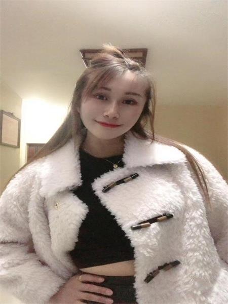 西青小野猫