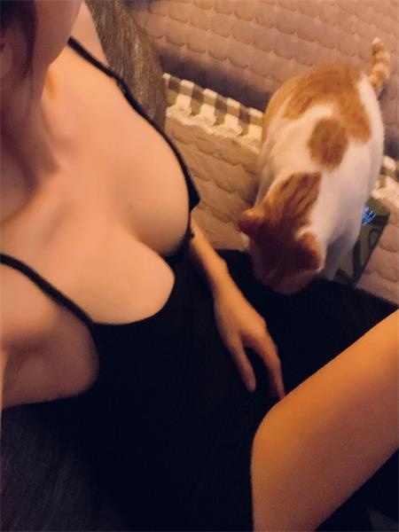 闵行猫妮