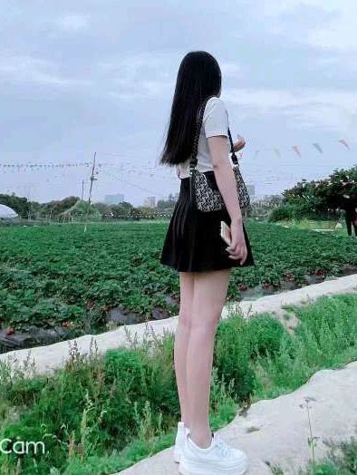 布吉洋洋