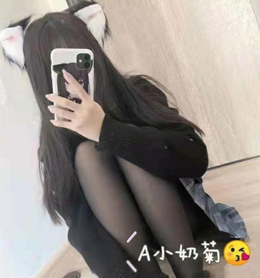 常熟小奶菊