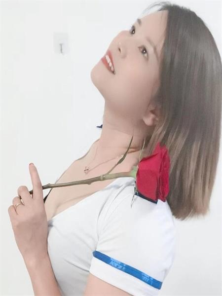 树木岭菲菲