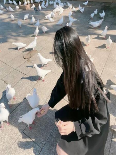 体验制服小妹