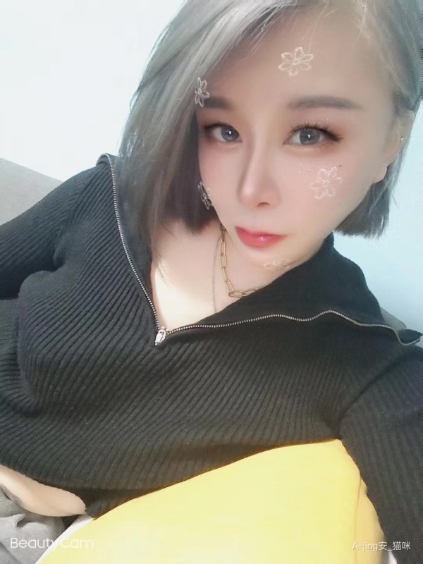 静安小猫咪