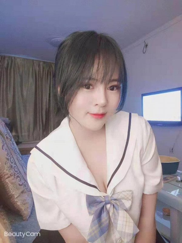 娇小可爱的小猫猫