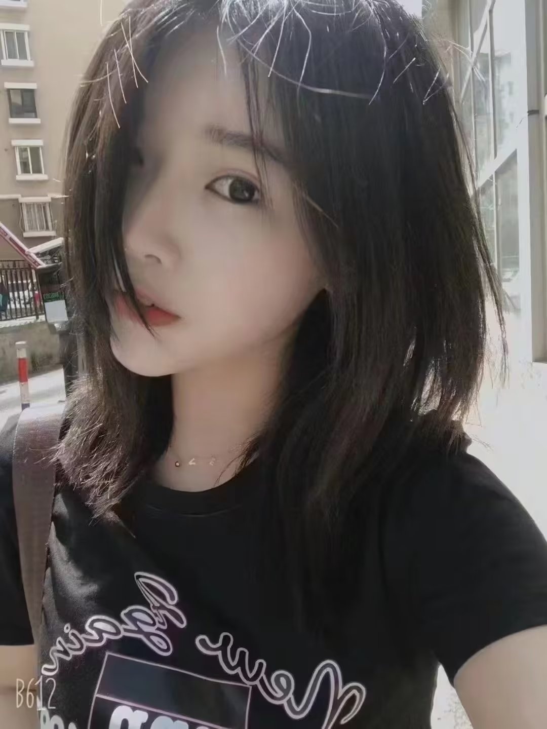 大连东特呆萌程宝