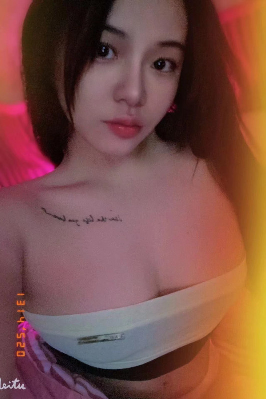 鼓楼附近小猫咪