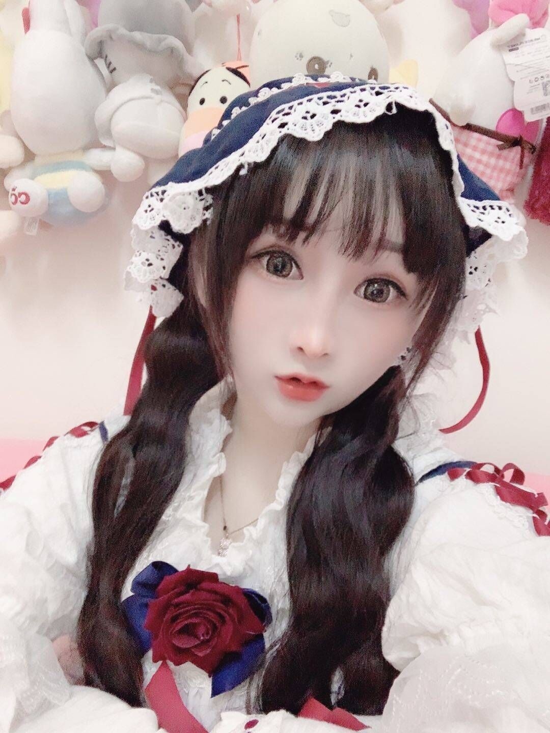 芙蓉小可爱