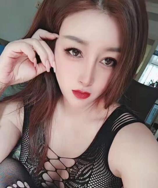 北京大兴奶牛珊珊