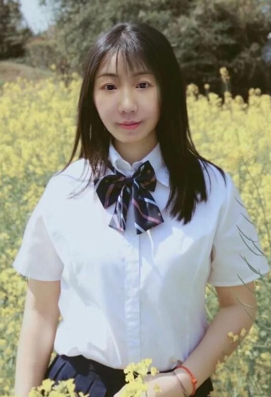 天津东丽叶子