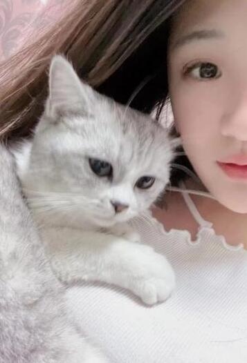 徐东妮子