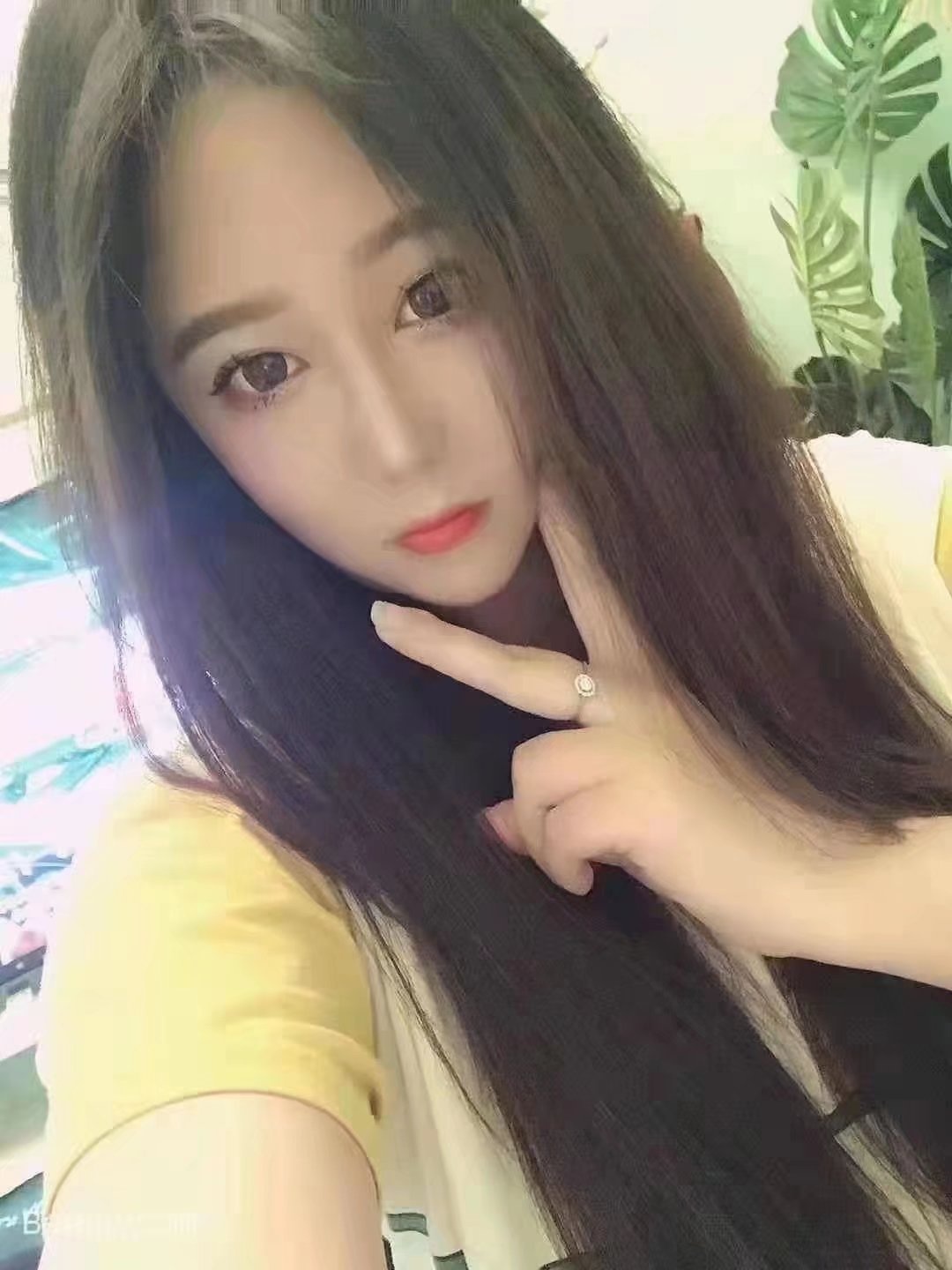 津南区静静