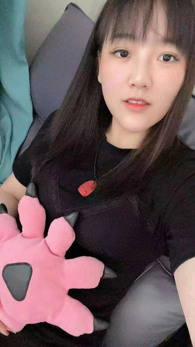 深圳龙华萌妞猫猫