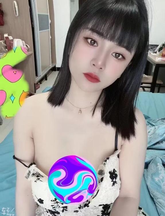 普陀猫猫同学