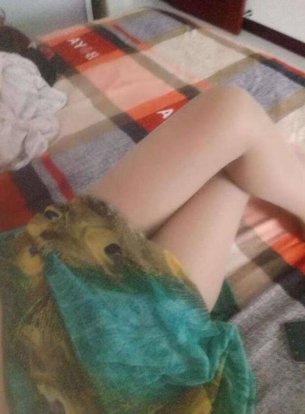 开发区诺姐