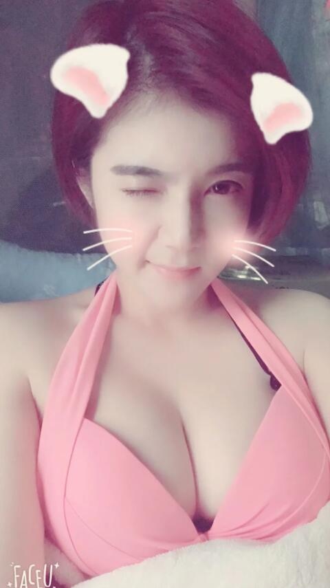 可双的姐妹花
