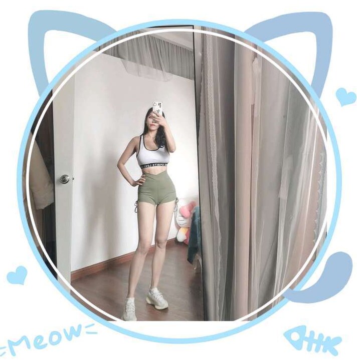 拱墅区波斯猫