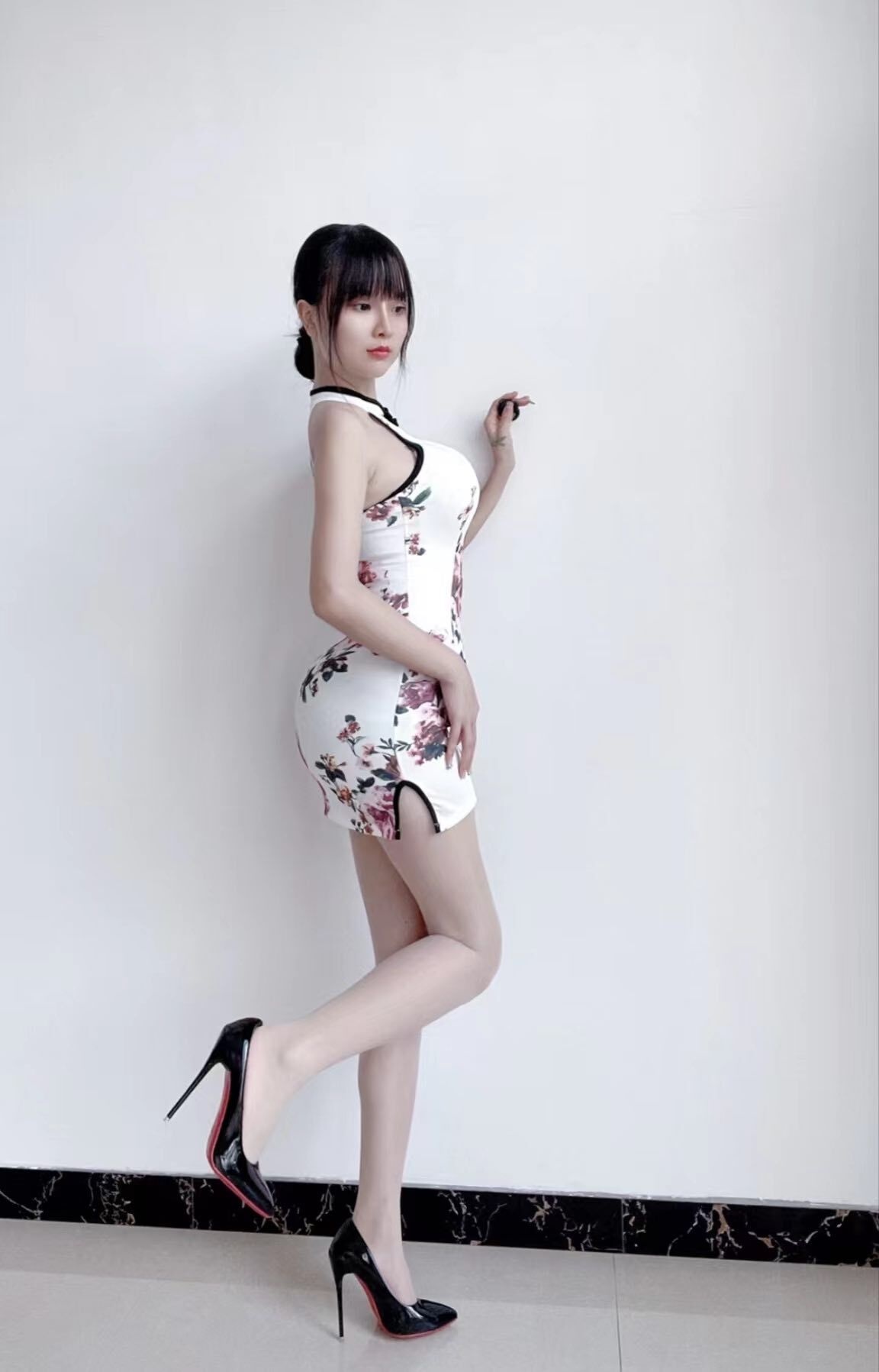 西藏南路小野猫 