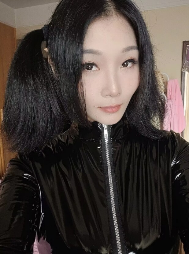 红旗河沟小野猫