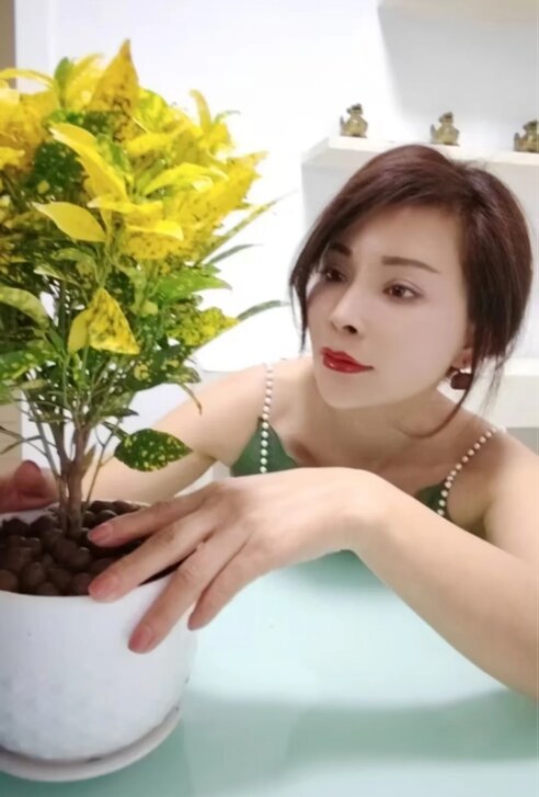 立水桥大奶熟女水床