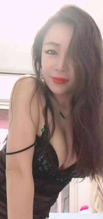 体验宝安小肥猫