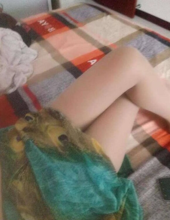 三通诺姐回黄岛了