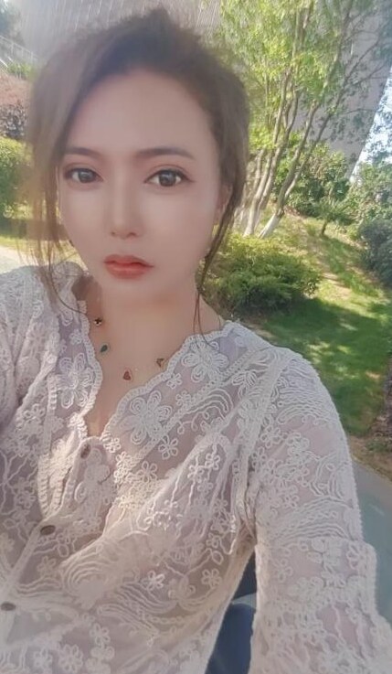 南站中项小野猫