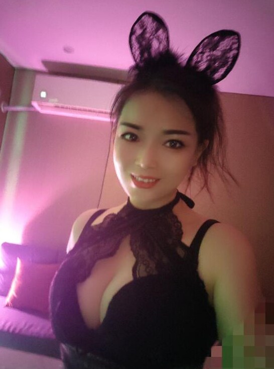 车陂服务型狸狸