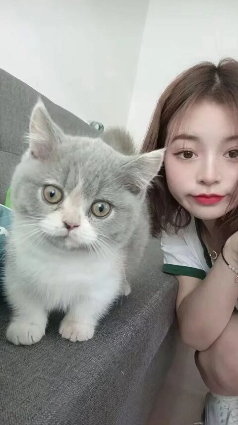 广州黄埔小可爱