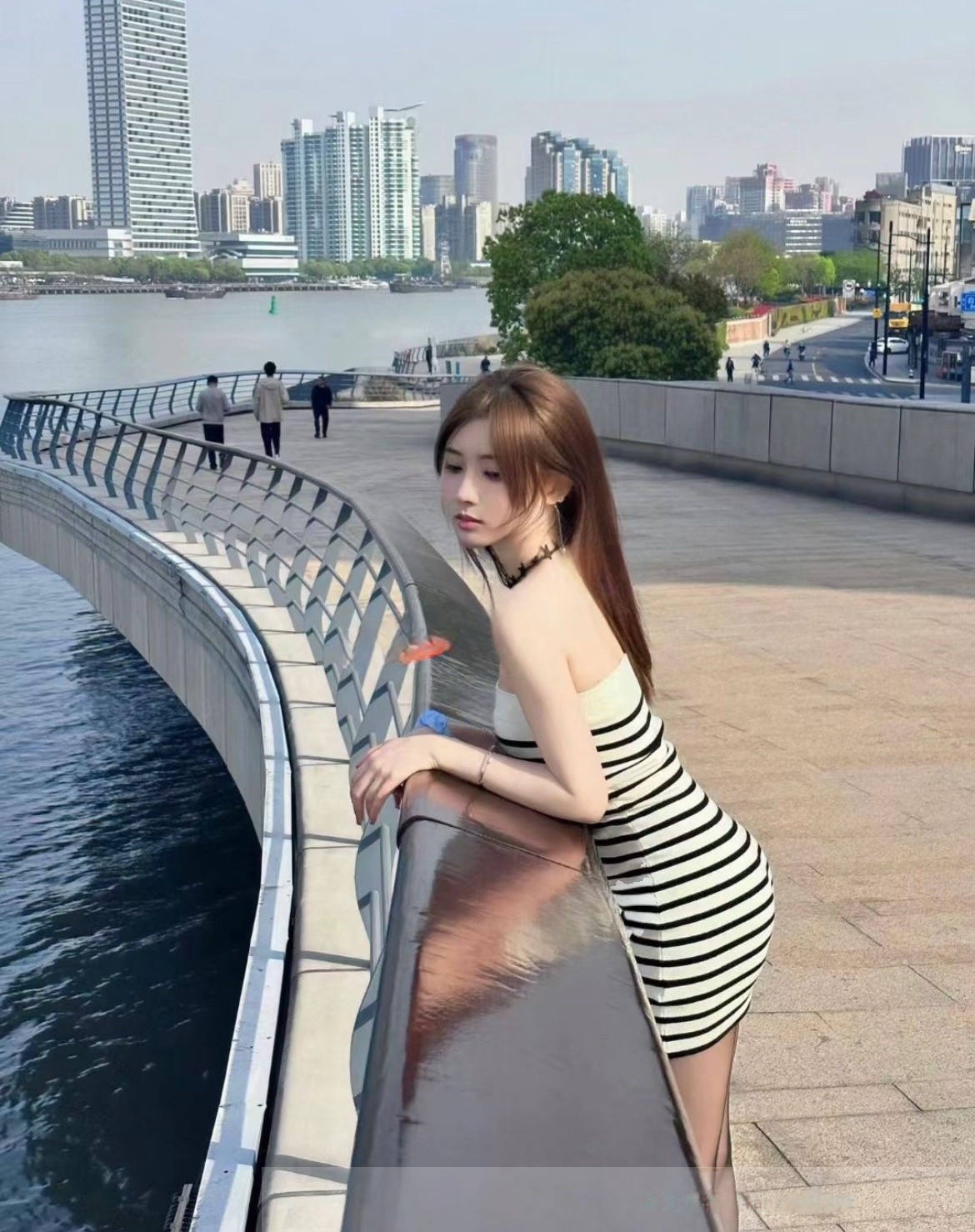 松江热情高颜值小猫咪