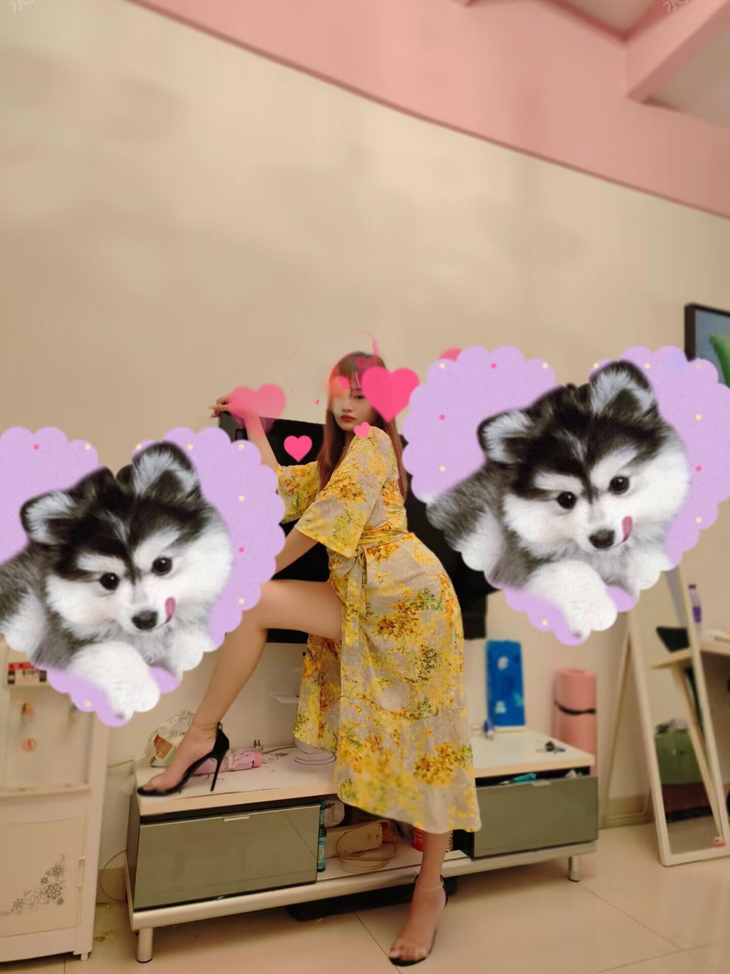 东莞虎门个人有房69舌吻