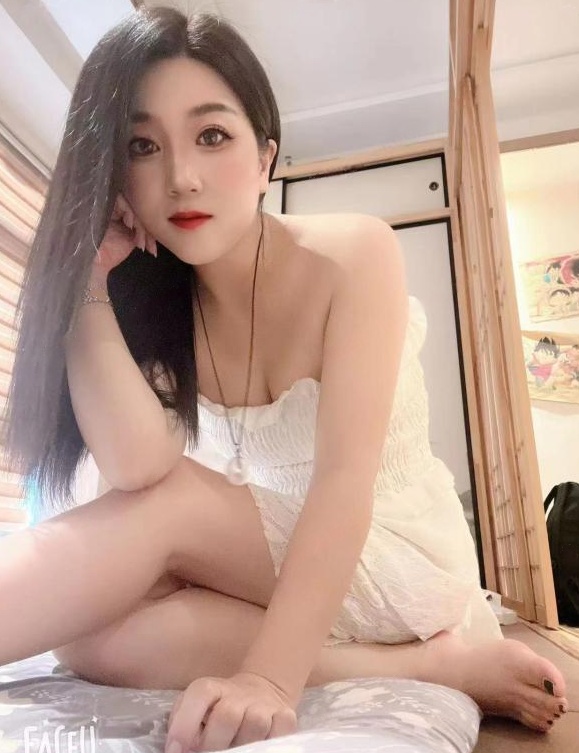 D罩的夜喵