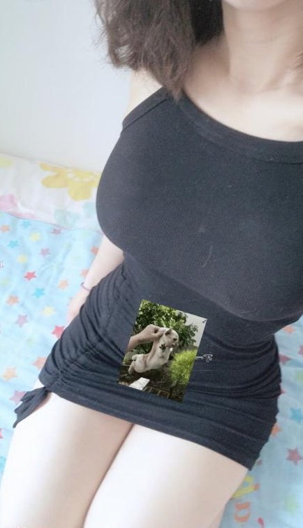 南山小野猫环保