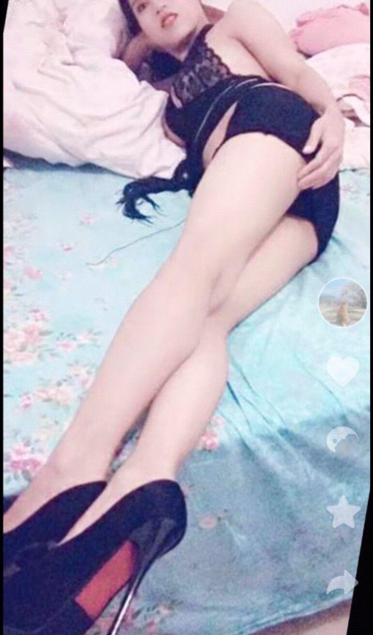 官渡区木木