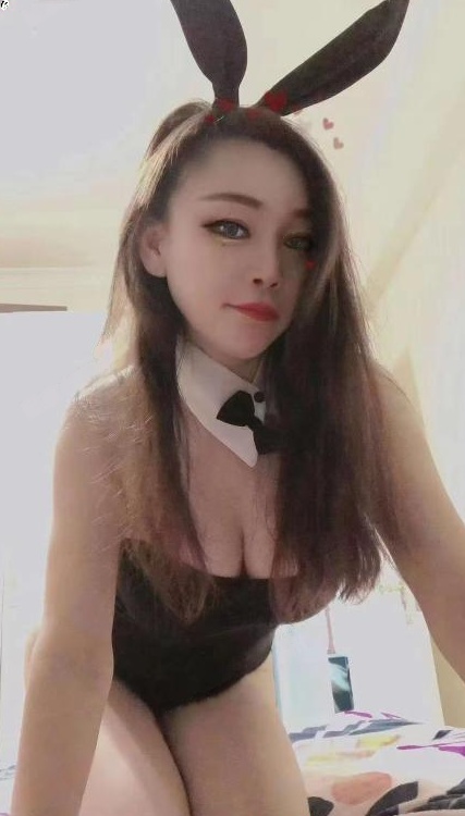 体验翻身小肥猫