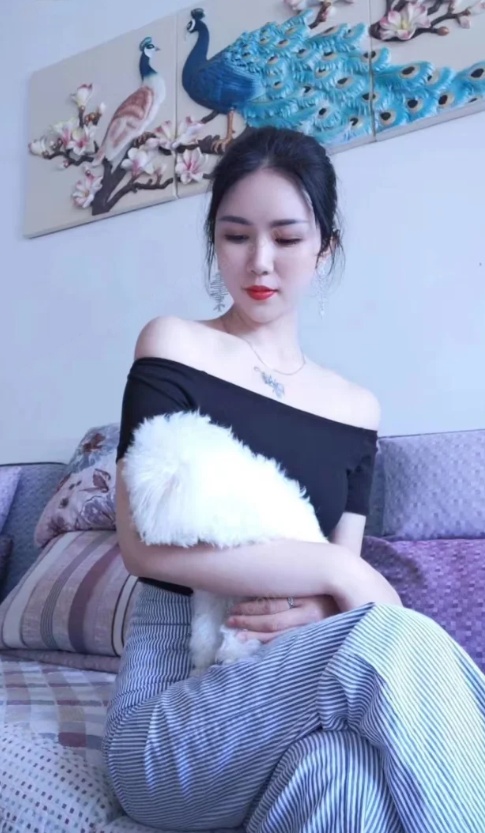 滨江莞式导师小猫咪