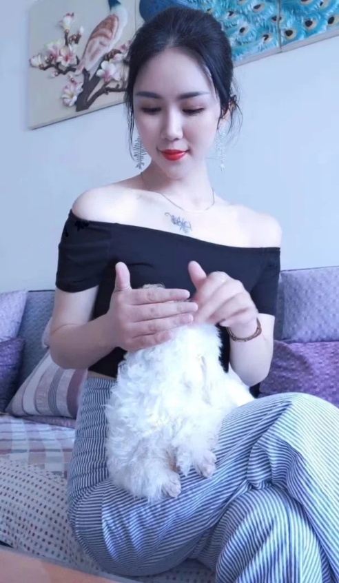 滨江莞式导师小猫咪