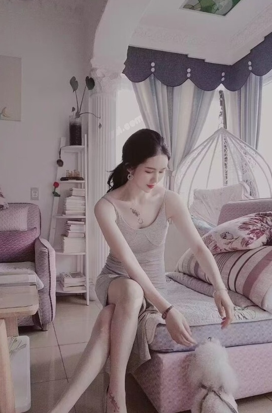 滨江莞式导师小猫咪