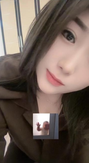 道理小胖菲