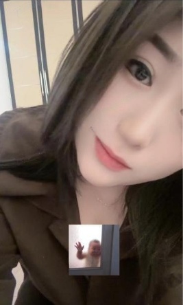 道理小胖菲