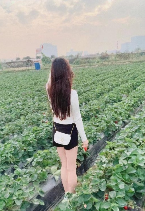 广州长腿小姐姐