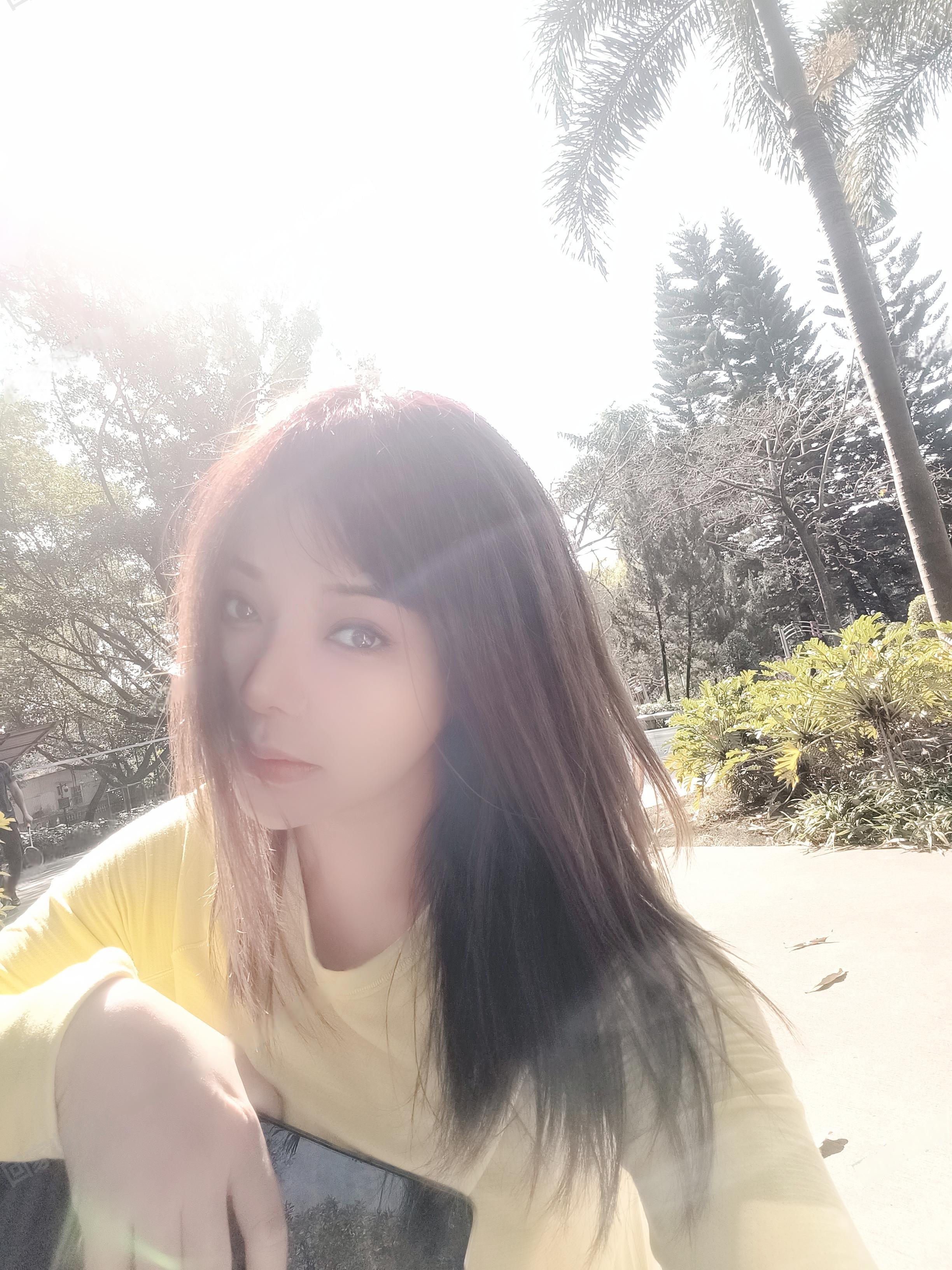 天河梅花园林林抓龙筋