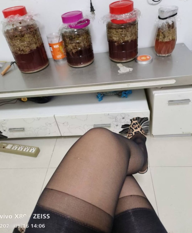 可以QT的御姐