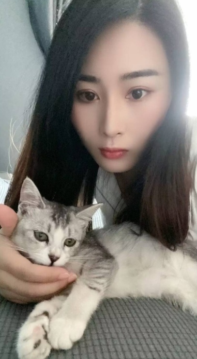 偶尔杭州的杭州品茶