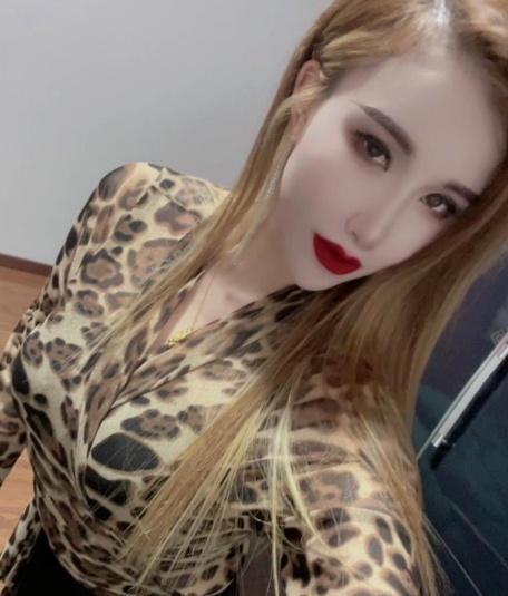 南开夜战寡妇