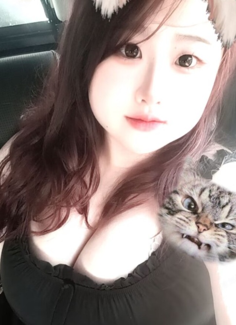 宣化巨乳肥肥小坦克